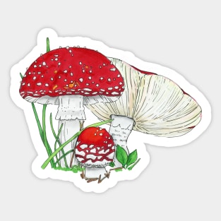 Poison Sticker